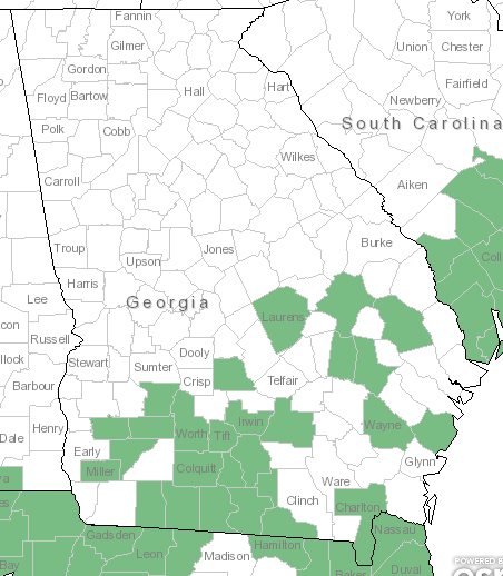 The Georgia range of Bigelowia nudata